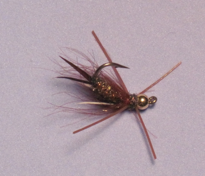 Caddis And Mayfly Nymphs Beartooth Flyfishing